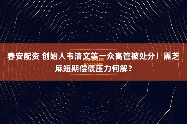 春安配资 创始人韦清文等一众高管被处分！黑芝麻短期偿债压力何解？