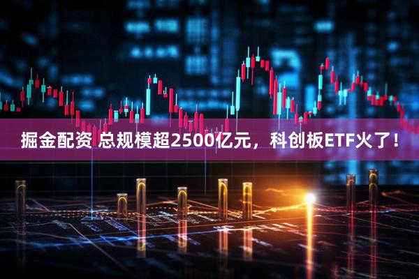 掘金配资 总规模超2500亿元，科创板ETF火了！