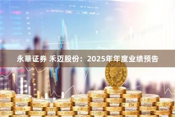 永華证券 禾迈股份：2025年年度业绩预告